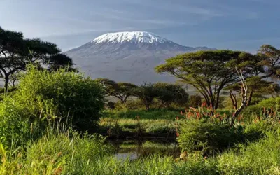 Adam climbs Kilimanjaro to raise funds for children fleeing domestic abuse