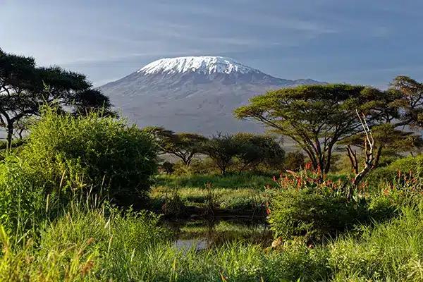 Kili-distance